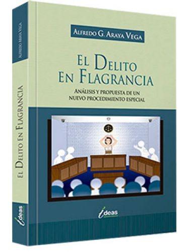 EL DELITO EN FLAGRANCIA'] ?>
